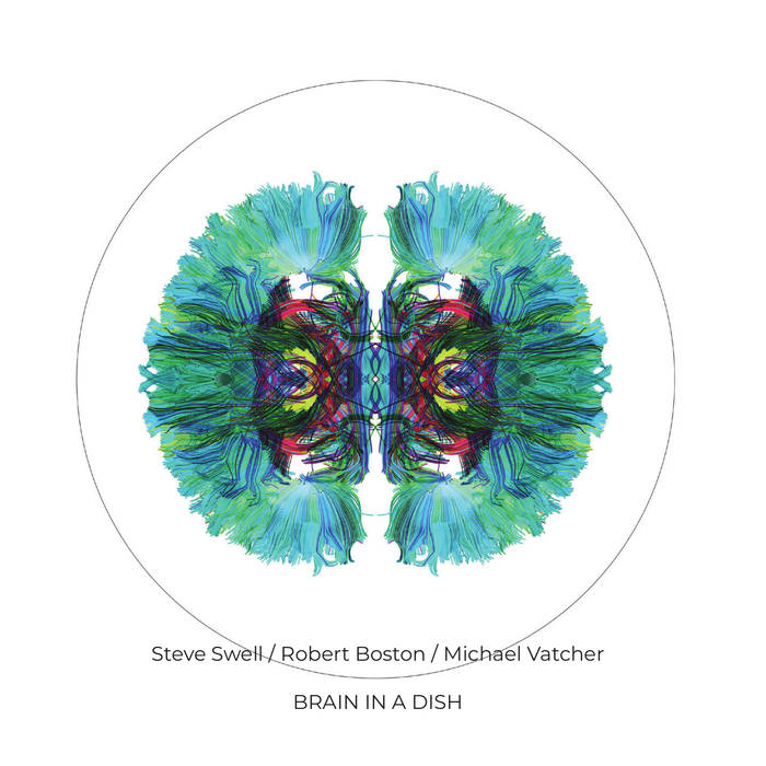 STEVE SWELL - Steve Swell / Robert Boston / Michael Vatcher : Brain in a Dish cover 