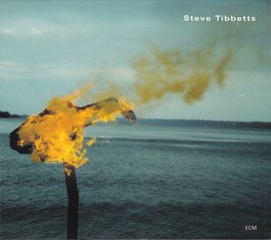 STEVE TIBBETTS - A Man About a Horse cover 