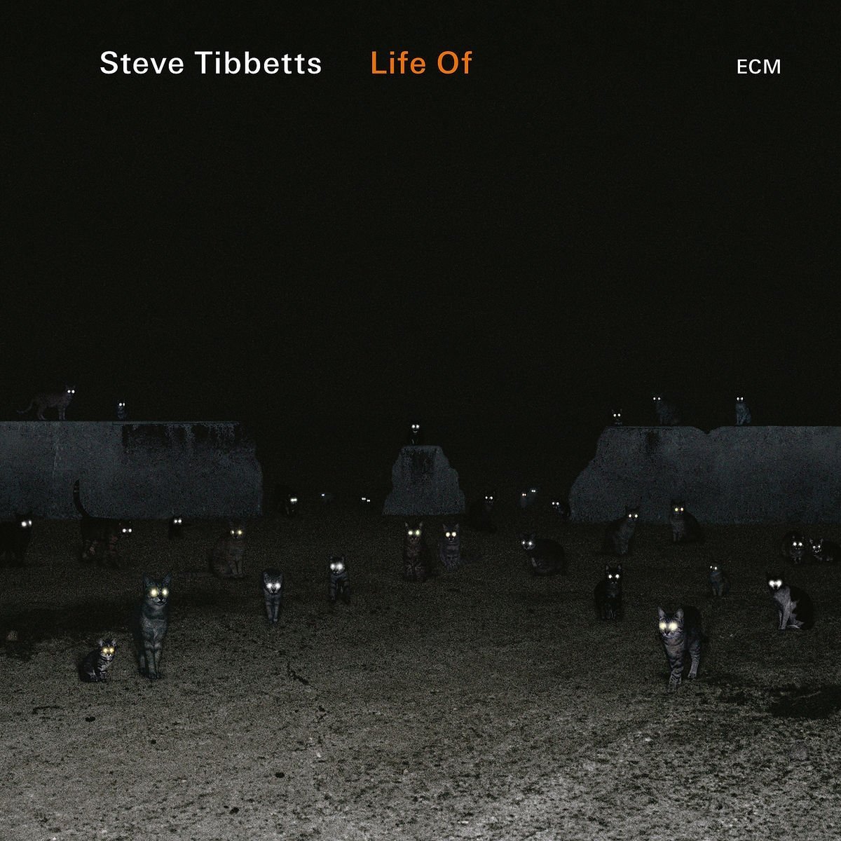 STEVE TIBBETTS - Life Of cover 