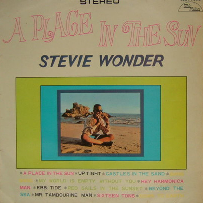 STEVIE WONDER - A Place In The Sun cover 