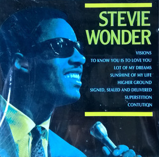 STEVIE WONDER - Live cover 
