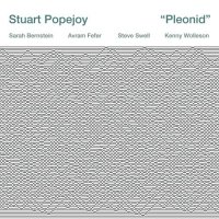 STUART POPEJOY - Pleonid cover 