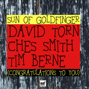 SUN OF GOLDFINGER - Congratulations to You cover 