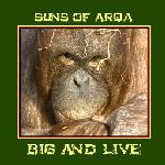 SUNS OF ARQA - Big and Live cover 