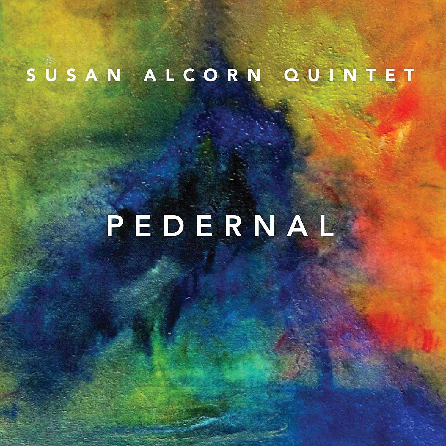 SUSAN ALCORN - Susan Alcorn Quintet : Pedernal cover 