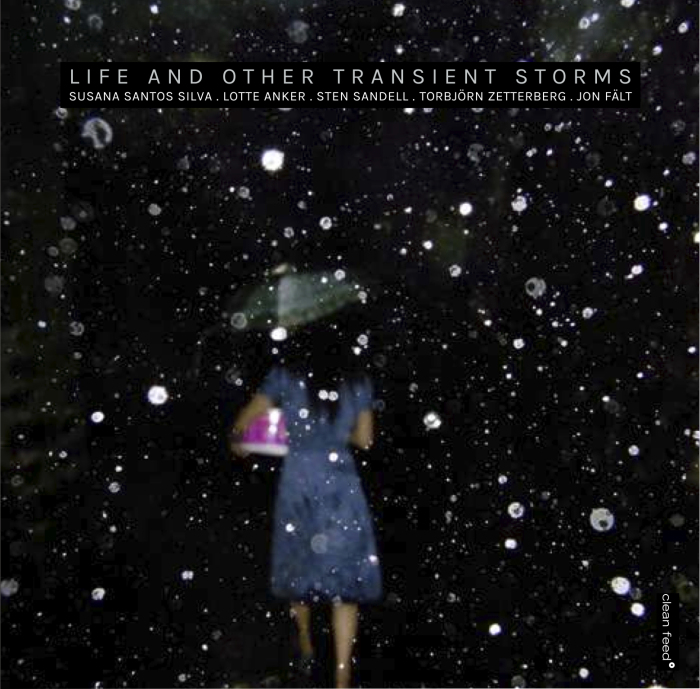 SUSANA SANTOS SILVA - Silva / Anker / Sandell / Zetterberg / Falt : Life and Other Transient Storms cover 