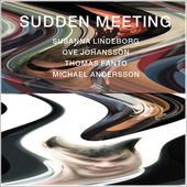 SUSANNA LINDEBORG - Sudden Meeting cover 