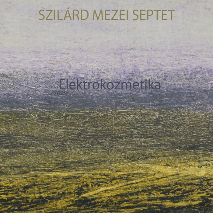 SZILÁRD MEZEI - Elektrokozmetika cover 