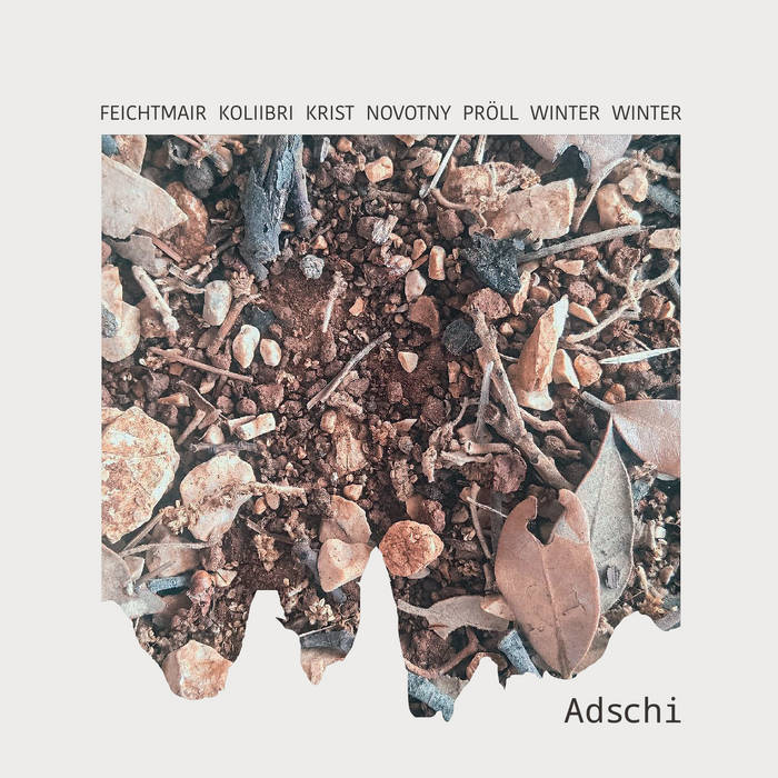 TANJA FEICHTMAIR - Tanja Feichtmair, Mara Kolibri, Stefan Krist, Josef Novotny, Fredi Pröll, Julius Winter and Uli Winter : Adschi cover 