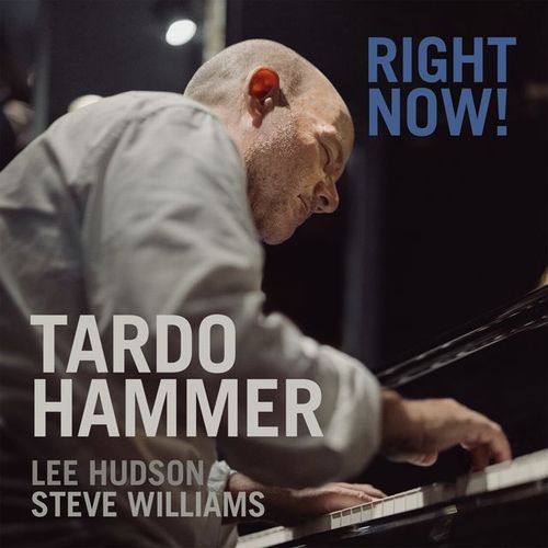TARDO HAMMER - Right Now cover 