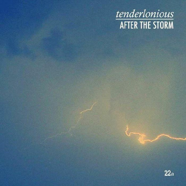 TENDERLONIOUS - After The Storm cover 
