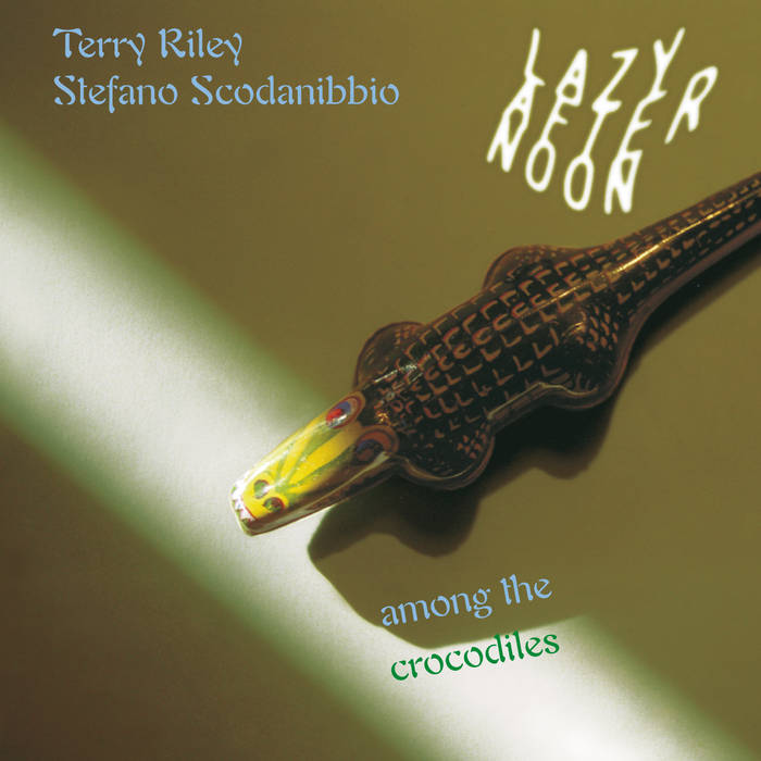 TERRY RILEY - Lazy Afternoon Among The Crocodiles (with Stefano Scodanibbio) cover 