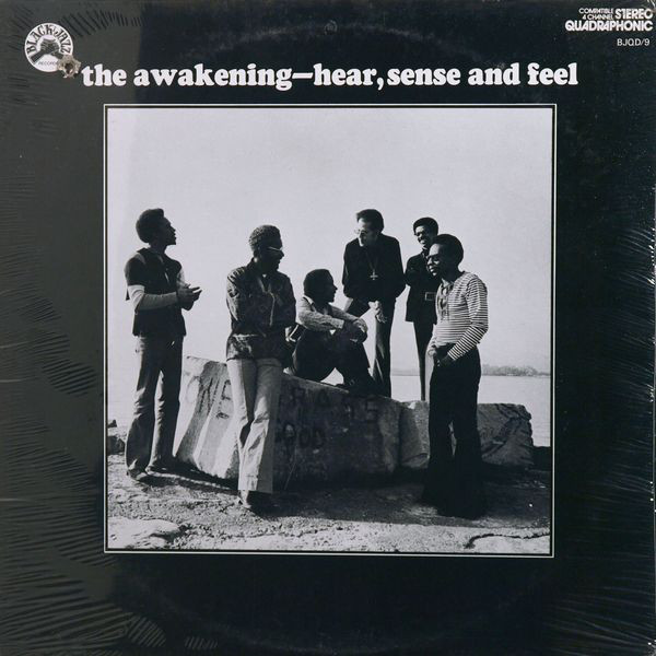 THE AWAKENING - Hear, Sense And Feel cover 