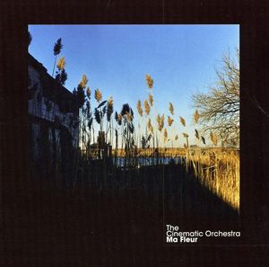 THE CINEMATIC ORCHESTRA - Ma fleur cover 