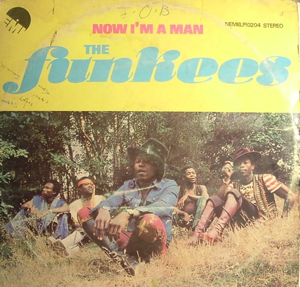 THE FUNKEES - Now I'm A Man cover 