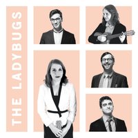 THE LADYBUGS - The Ladybugs cover 