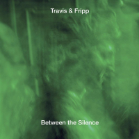 THEO TRAVIS - Travis &amp; Fripp : Between The Silence cover 