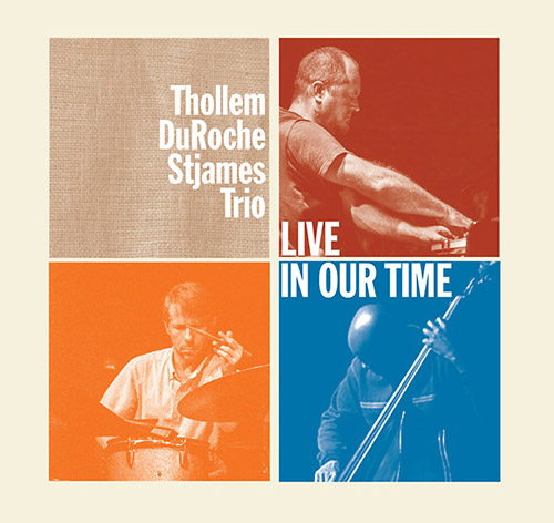 THOLLEM MCDONAS - Thollem / Duroche / Stjames Trio : Live in Our Time cover 