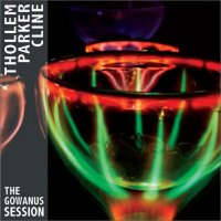 THOLLEM MCDONAS - Thollem / Parker / Cline : The Gowanus Session cover 
