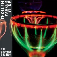 THOLLEM MCDONAS - Thollem / Parker / Cline : The Gowanus Session cover 