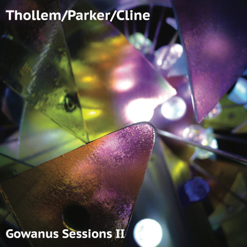 THOLLEM MCDONAS - Thollem / Parker / Cline : The Gowanus Session II cover 