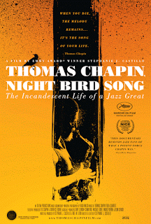 THOMAS CHAPIN - Night Bird Song cover 