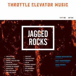 THROTTLE ELEVATOR MUSIC - Jagged Rocks (featuring Kamasi Washington) cover 