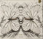 A BU Butterflies Fly in Pairs album cover