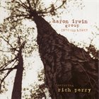 AARON IRWIN Into The Light album cover