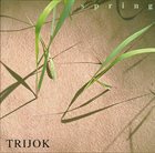 ACHIM KIRCHMAIR Spring (as Trijok) album cover