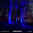 ADAM BERENSON Substratum album cover