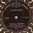ADYLSON GODOY Terra Virgem / O Muro album cover