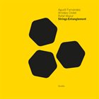 AGUSTÍ FERNÁNDEZ Agustí Fernández / Amidea Clotet / Rafał Mazur : Strings Entanglement album cover