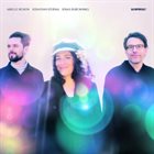 AIRELLE BESSON Airelle Besson, Sebastian Sternal & Jonas Burgwinkel : Surprise! album cover