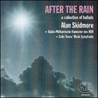 ALAN SKIDMORE After the Rain album cover