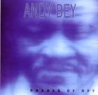 ANDY BEY Shades Of Bey album cover