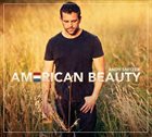ANDY SNITZER American Beauty album cover