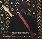 ANDY SUMMERS Triboluminescence album cover