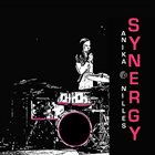 ANIKA NILLES Synergy album cover