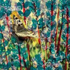 ANNE METTE IVERSEN Anne Mette Iversen Quartet+1 : Racing a Butterfly album cover
