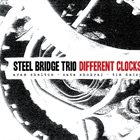 ARAM SHELTON Steel Bridge Trio : Different Clocks album cover