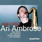 ARI AMBROSE Waiting album cover