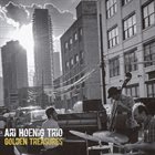 ARI HOENIG Golden Treasures album cover