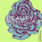 ASHLEY DANEMAN Beauty Indestructible album cover