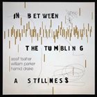 ASSIF TSAHAR Assif Tsahar, William Parker, Hamid Drake : In Between the Tumbling a Stillness album cover