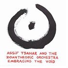 ASSIF TSAHAR Embracing The Void album cover