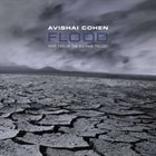 AVISHAI COHEN (TRUMPET) Flood album cover