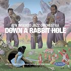 AYN INSERTO JAZZ ORCHESTRA Down a Rabbit Hole album cover