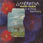 BEAVER & KRAUSE In A Wild Sanctuary / Gandharva album cover