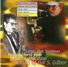 BÉLA SZAKCSI LAKATOS Long, Hot Summer -  Songs of Pál S. Gábor album cover